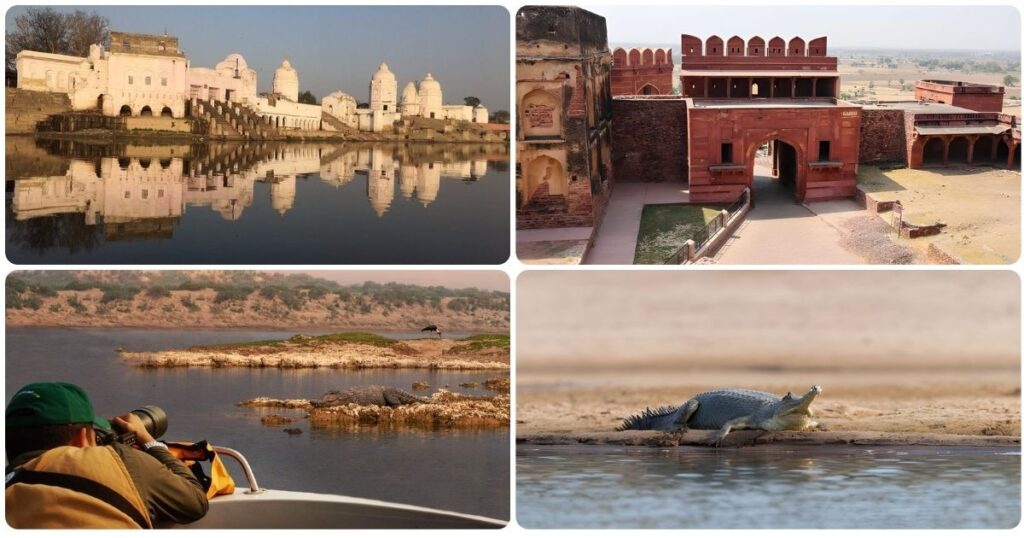 Collage of Bateshwar temples, Bah Fort, Chambal river safari, and Ganges river dolphin showcasing Golden Triangle Hidden Gems