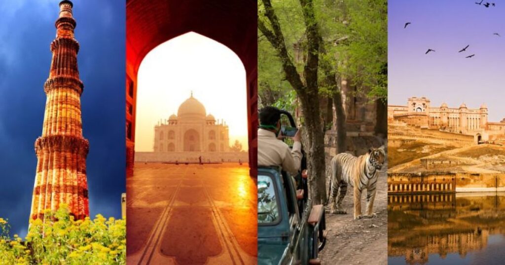 A visual showcase of India’s rich heritage, historic landmarks, wildlife encounters, and diverse cultural experiences that define unforgettable journeys across the country.
