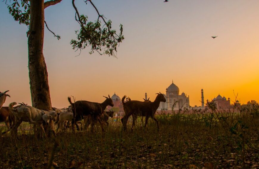 Taj Mahal sunset view with rural foreground and golden sky in Agra